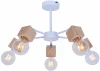 TL1197X-05AB Потолочная люстра Toplight Alisha TL1197X-05AB
