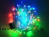 RL-S10CF-24V-T/M Гирлянда светодиодная разноцветная с мерцанием 24B, 100 LED, провод прозрачный, IP54 RL-S10CF-24V-T/M Rich LED