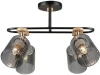 WD3608/4C-BK-SMK Потолочная люстра Wedo Light Lana WD3608/4C-BK-SMK