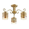 3286/3C Потолочная люстра Lumion Zarlina 3286/3C