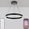 LED LAMPS 81188 Подвесной светильник Natali Kovaltseva Laud LED LAMPS 81188