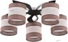 338 TK Lighting Cattleya Venge 338