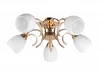 TL3530X-05FG Потолочная люстра Toplight Lenore TL3530X-05FG