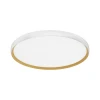 SLE1810-502-01 Потолочный светильник Evoluce Helst SLE1810-502-01 Белый, золотистый/белая LED 1*42W 4000K