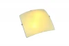 A7231PL-2CC Потолочный светильник Arte Lamp Sunshine A7231PL-2CC