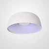 LC-11-0894 Настенно-потолочный светильник LED Lu Carte LC-11-0894