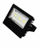 HL168L (068-001-0150) 6500K Прожектор уличный светодиодный Horoz, 1 плафон, черный с хромом и прозрачным