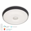 3306.B255-450 White/Grey Потолочный светильник светодиодный с ПДУ APL LED Turin 3306.B255-450 White/Grey