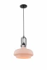 A3624SP-1WH Подвесной светильник Arte Lamp Arno A3624SP-1WH