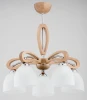 27045 Потолочная люстра Alfa Gracja 27045