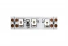 ECO-SWG2120-12-9.6-G Светодиодная лента SWG ECO-SWG2120-12-9.6-G