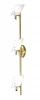 LSL-1301-03 Настенный светильник Lussole Dragoni LSL-1301-03