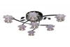 OML-14007-07 Потолочная люстра Omnilux OML-140 OML-14007-07