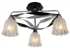 SL324.752.03 Потолочная люстра ST Luce SL324 SL324.752.03