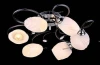 10793/6C Natali Kovaltseva 10793 10793/6C