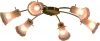 CL106162 Потолочная люстра Citilux Dana CL106162