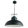 A5213SP-1BG Подвесной светильник Arte Lamp Martin A5213SP-1BG