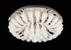 SL724.102.15 Потолочный светильник ST Luce SL724 SL724.102.15