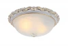 A7152PL-2WG Потолочный светильник Arte Lamp Torta A7152PL-2WG