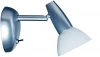 66406 Спот Paulmann Barelli 66406