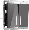 W1120144 Выключатель двухклавишный с подсветкой (графит акрил) Werkel W1120144 (a064087)
