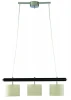 A1038SP-3BK Подвесной светильник Arte Lamp Woods A1038SP-3BK