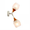SLE113501-02 Бра Evoluce Ciotolla SLE113501-02