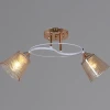 06003-0.3-02 FG+WT Потолочная люстра на штанге Reluce 06003-0.3-02 FG+WT (220V)