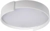 10200 White Потолочный светильник круглый Coin 10200 White Loft It (LED, 220V, круглые)