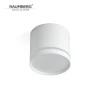 62C41112 Накладной потолочный светильник Raumberg 62C41112 White