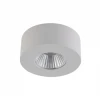 LC1528FWH-5-NW Накладной точечный светильник DesignLed FUTUR LC1528FWH-5-NW (220V, круглые)