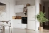 00-00285678 КГ 1650 Эмаль, Белый Арника РМ Арника 00-00285678
