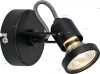G36610/06 Brilliant Spectra G36610/06