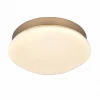 2466-1C Потолочный светильник F-Promo Ledante 2466-1C