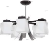 0065 Luminex Trend 0065
