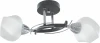 TL7380X-02BC Потолочная люстра Toplight Lia TL7380X-02BC