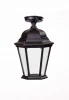 91405LA Bl Потолочный светильник уличный Oasis Light ASTORIA 2 91405LA Bl (220V, IP44)