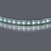 402034 Светодиодная лента Lightstar 402034