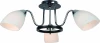 A7144PL-3BK Потолочная люстра Arte Lamp Fiorentino A7144PL-3BK