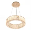 11230 Подвесной светильник светодиодный кольцо Cloyd Radianta 11230 (на тросе, кольцо)