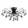 A3619PL-24BK Потолочная люстра Arte Lamp Dexter A3619PL-24BK