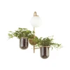 4682/1W Бра Odeon Light Flower 4682/1W
