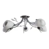 A2766PL-5CC Потолочная люстра Arte Lamp Gardenia A2766PL-5CC