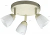 G02434/75 Спот Brilliant Sissi G02434/75