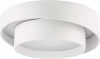 809416 Потолочный светильник круглый светодиодный Lightstar Celesta 809416 (220V, круглые)
