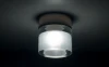 DL055G/Crystal Потолочный светильник Donolux DL055 DL055G/Crystal