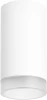 R4363437 Точечный светильник накладной Lightstar Rullo R4363437 (220V, круглые)