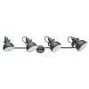 A5215PL-4BG Спот Arte Lamp Martin A5215PL-4BG