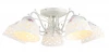 A6616PL-5WG Потолочная люстра Arte Lamp Wicker A6616PL-5WG