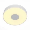 SL473.052.01 Потолочный светильник ST Luce Semplicita SL473.052.01